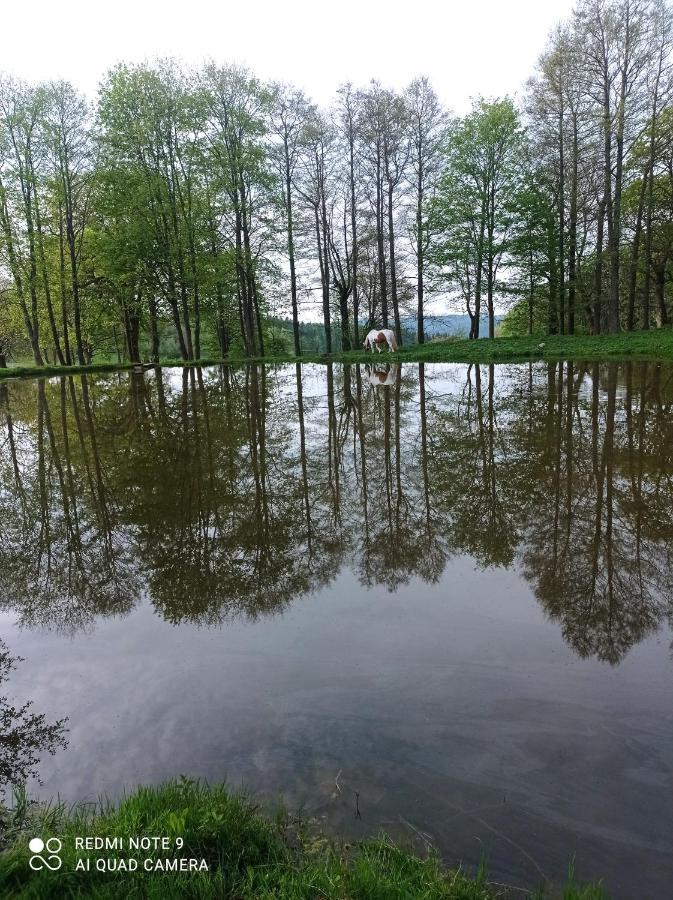 Apartmany U Becova Nad Teplou Becov nad Teplou Luaran gambar